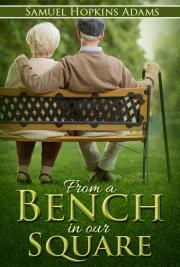 From a Bench in our Square