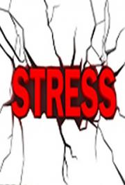 Stress Management - How to Break Free from a Stressful Lifestyle