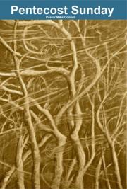 Pentecost Sunday