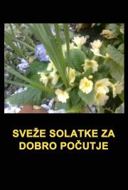 Sveže Solatke za Dobro Počutje
