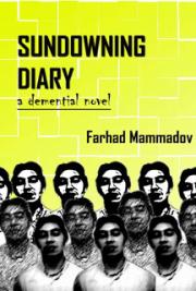 Sundowning Diary- Part 2