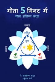 Gita In 5 Minutes (Hindi)