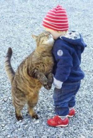 Until My Last Breath: A True Story of Love, Sacrifice, and a Devotion That Wouldn&rsquo;t Die