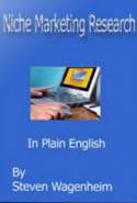Niche Marketing Research in Plain English