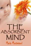 The Absorbent Mind