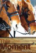 This Moment