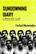 Sundowning Diary - Part 3