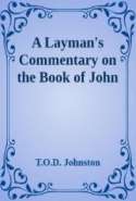 Layman's Commentary on John