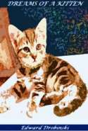 Dreams of a Kitten
