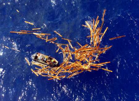 Figure (Picture 1.jpg)